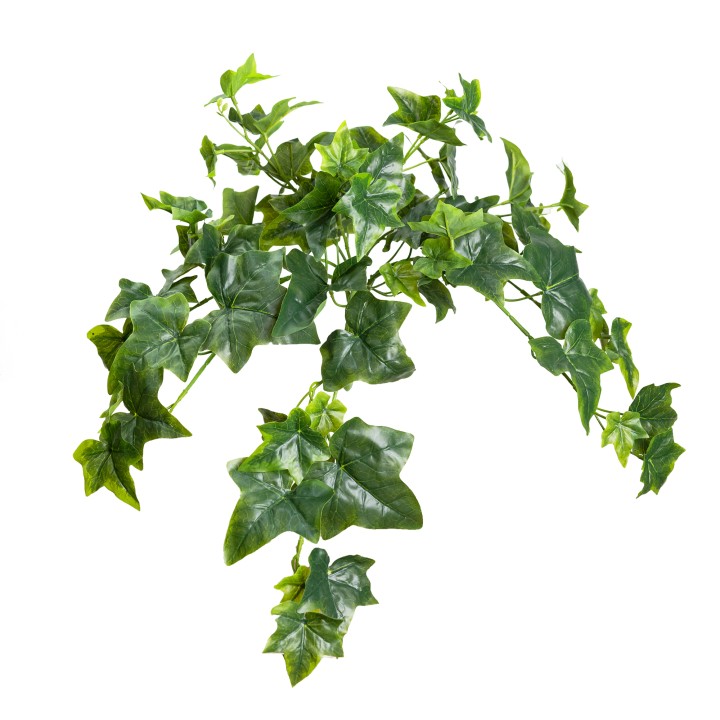 63.5CM REAL TOUCH SAGE IVY HANGING BUSH