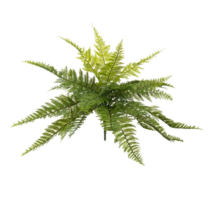 50CM LEATHER FERN BUSH (D70CM)