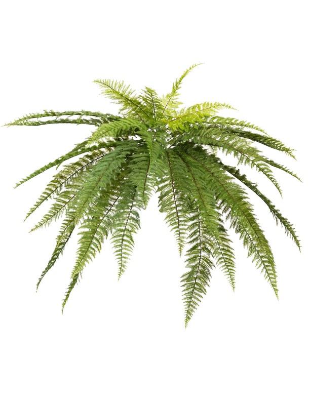 58CM LEATHER FERN BUSH (D120CM)
