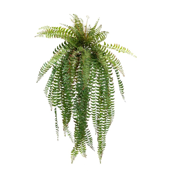 122CM FISHTAIL FERN BUSH
