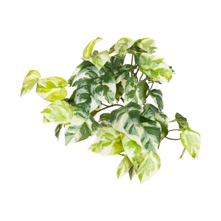 27CM REAL TOUCH POTHOS HANGING BUSH