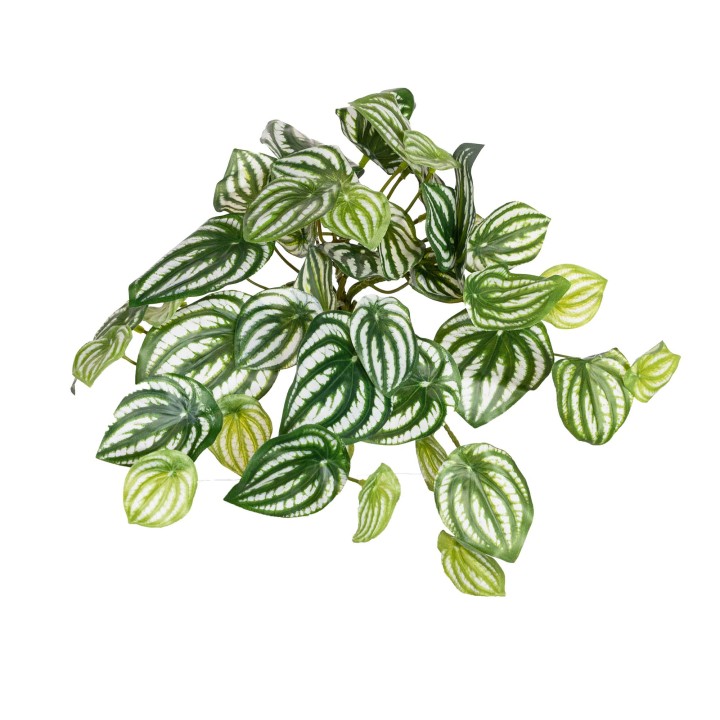 27CM REAL TOUCH WATERMELON PEPEROMIA BUSH