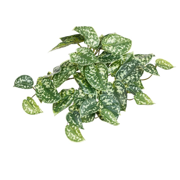 27CM REAL TOUCH SCINDAPSUS HANGING BUSH