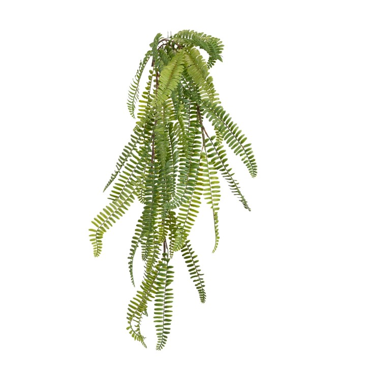 76CM RUFFLE FERN HANING VINE