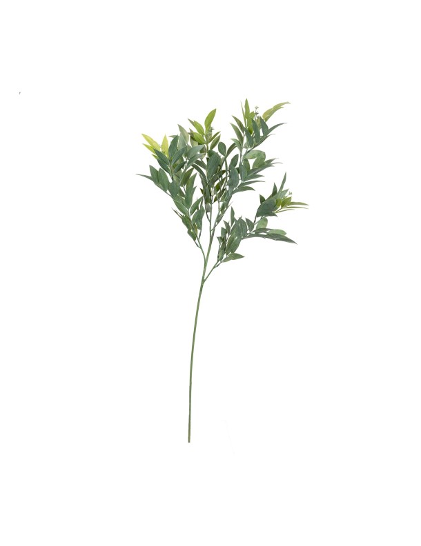89CM SEEDED RUSCUS SPRAY