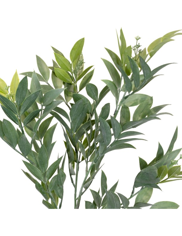 89CM SEEDED RUSCUS SPRAY