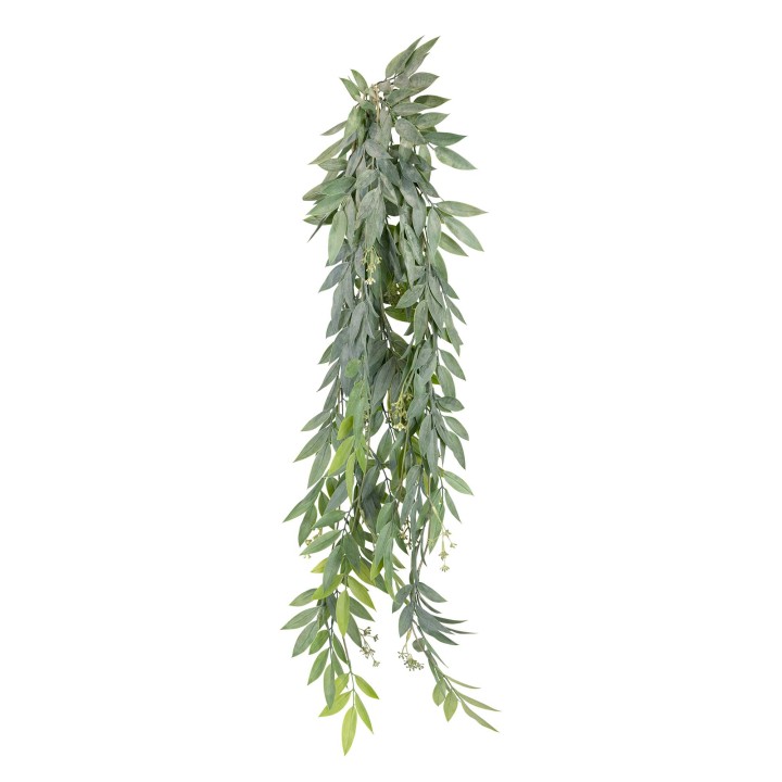 91CM RUSCUS HANGING BUSH(last 30pcs)
