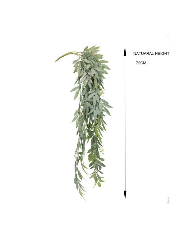 91CM RUSCUS HANGING BUSH(last 30pcs)