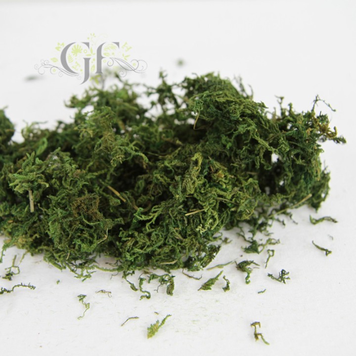 200G DRIED MOSS