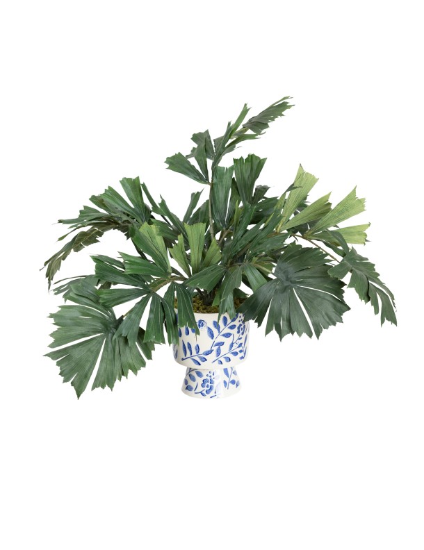 GREENERY IN HAMPTON POT - LAST 1PC