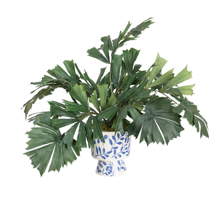 GREENERY IN HAMPTON POT - LAST 1PC