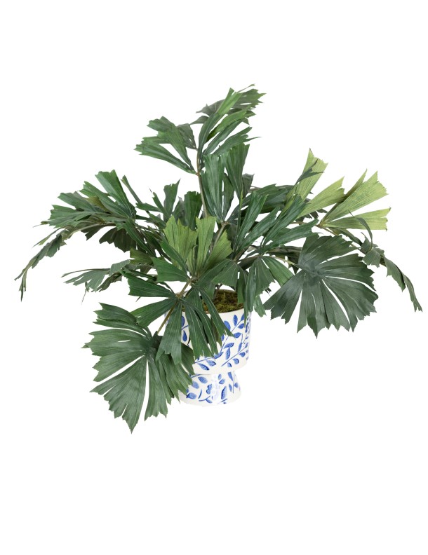 GREENERY IN HAMPTON POT - LAST 1PC