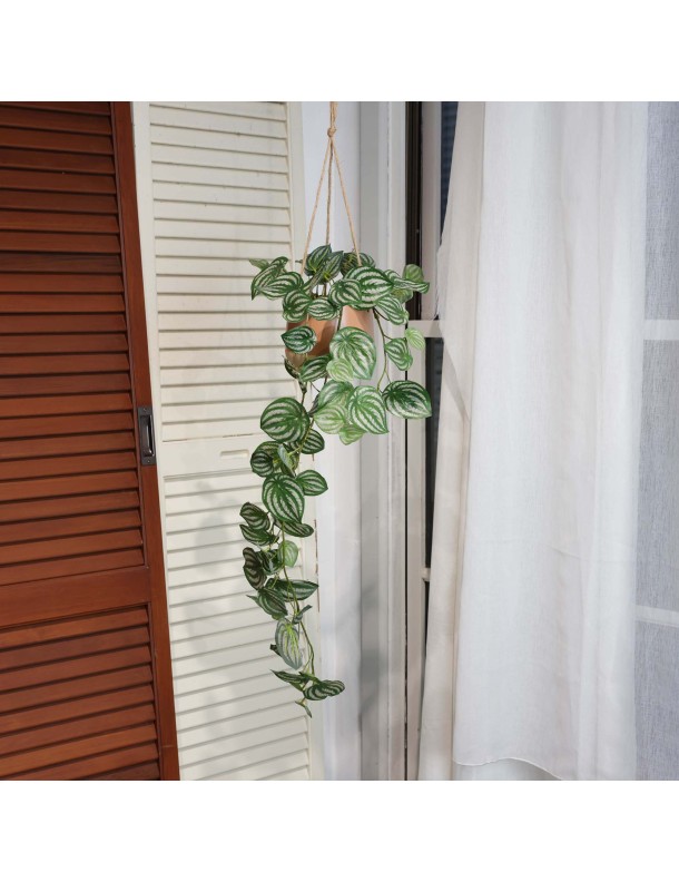 95CM WATERMELON BUSH IN HANGING POT - LAST 2PC