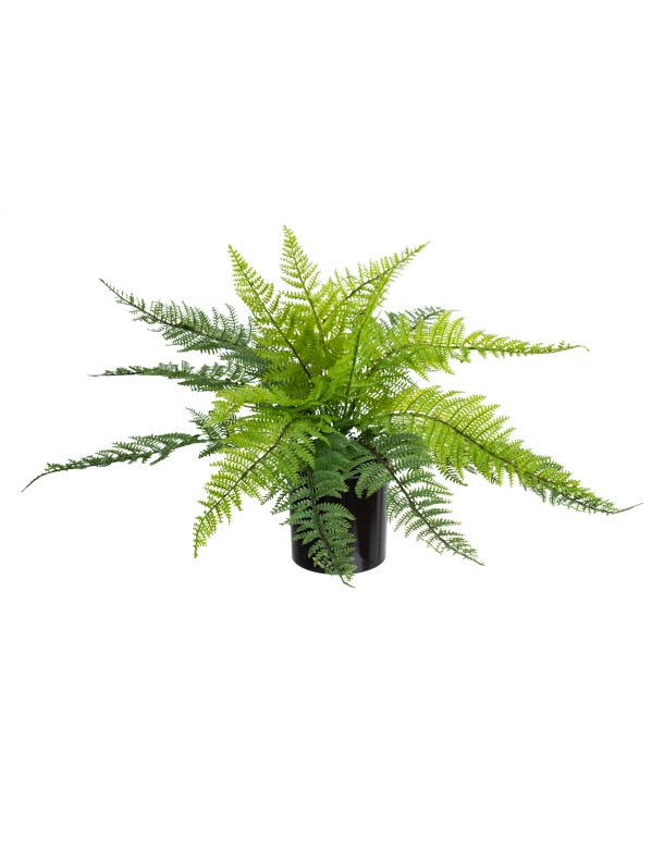 40CM LEATHER FERN BUSH IN POT