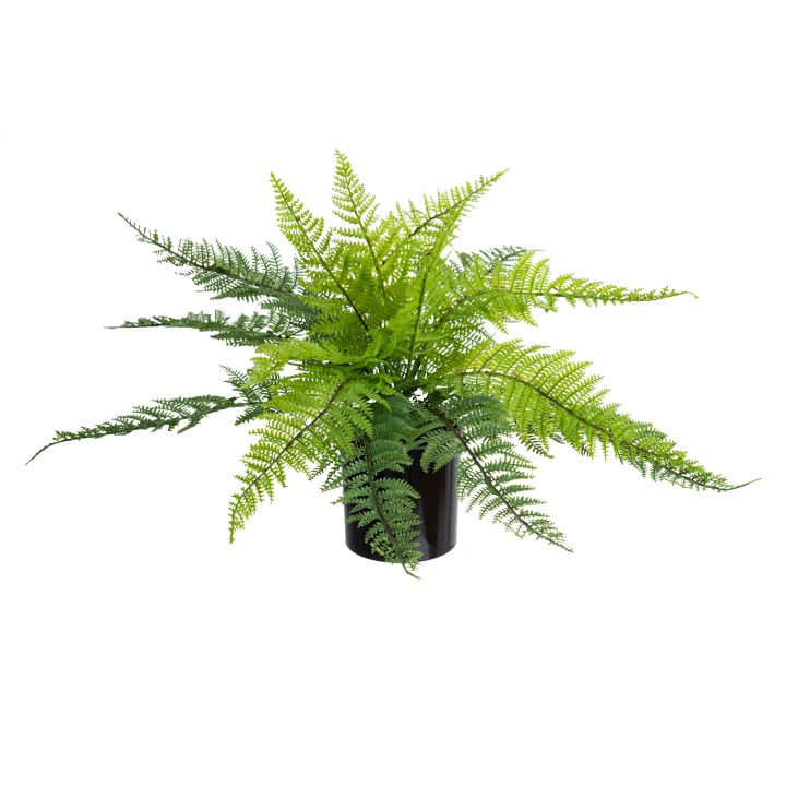 40CM LEATHER FERN BUSH IN POT