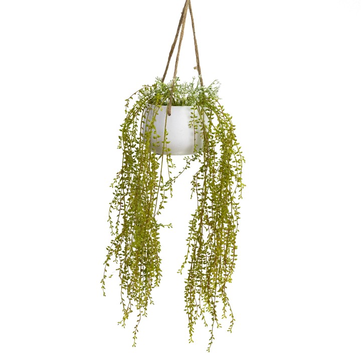 90CM CURLY WILLOW IN HANGING PLANTER - LAST 1 PC