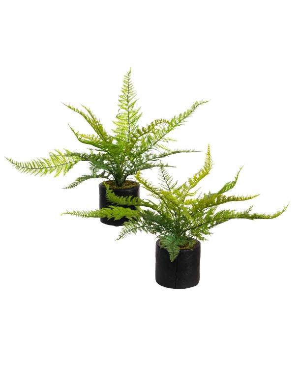 LEATHER FERN SET OF 2 
