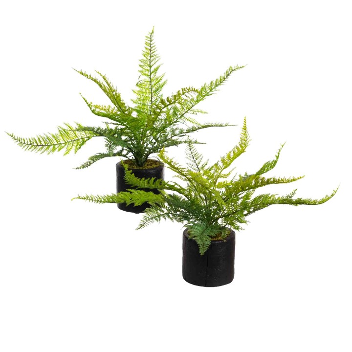 LEATHER FERN SET OF 2 