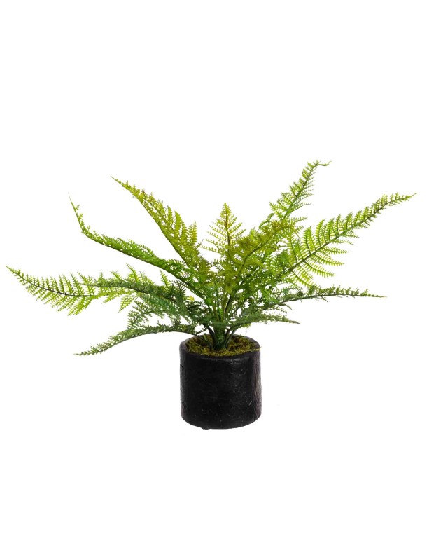 LEATHER FERN SET OF 2 