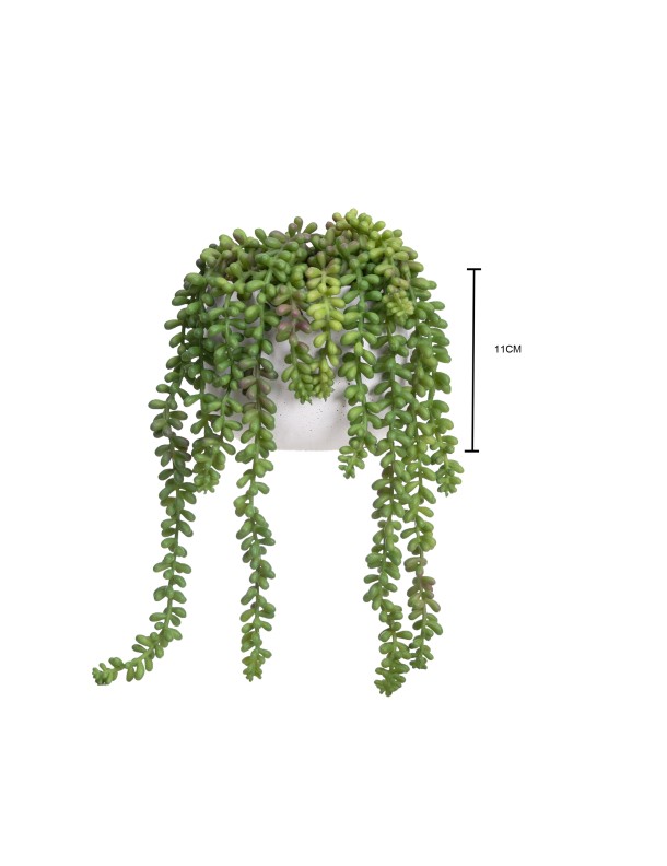 GREEN HANGING PEARL IN POT SET 