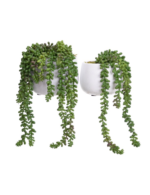 GREEN HANGING PEARL IN POT SET 