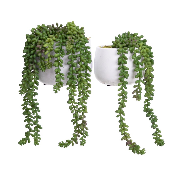 GREEN HANGING PEARL IN POT SET 