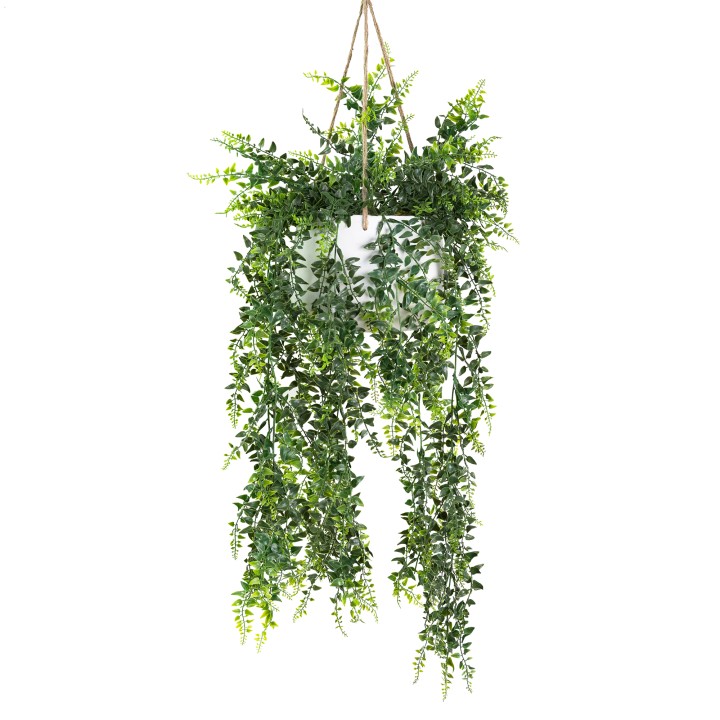 94CM BAKER FERN IN HANGING POT