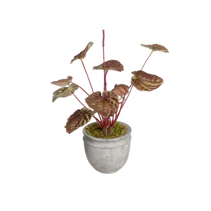 30CM REAL TOUCH BEGONIA BUSH IN POT BURGUNDY