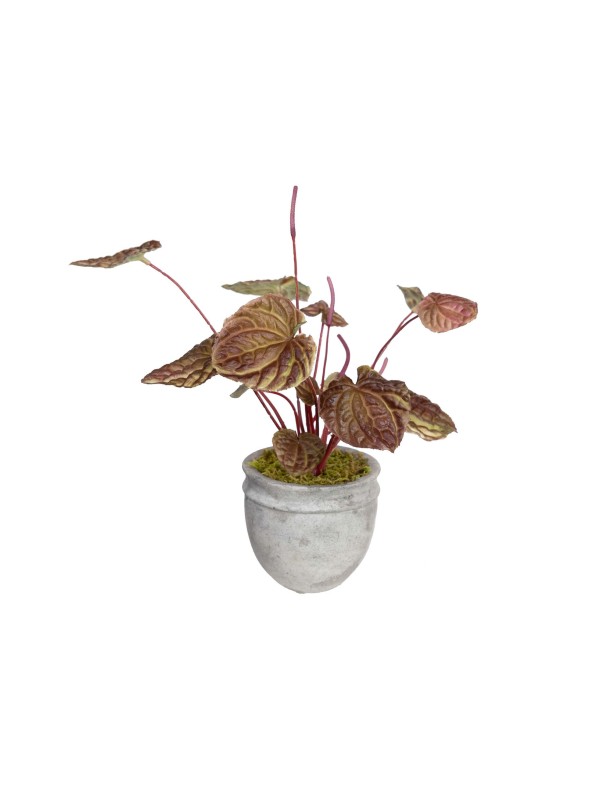 30CM REAL TOUCH BEGONIA BUSH IN POT BURGUNDY