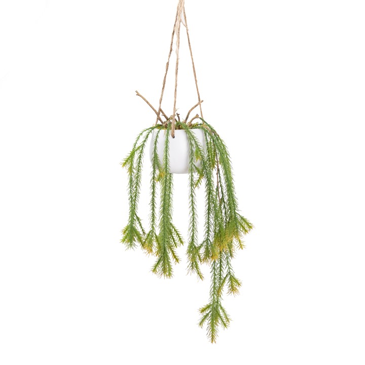 73CM PINE BRANCH IN SMALL HANGING PLANTER - LAST 1PC