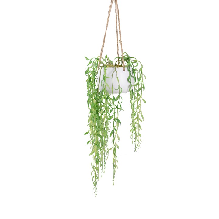 75CM LEAVES IN SMALL HANGING PLANTER - LAST 1PC