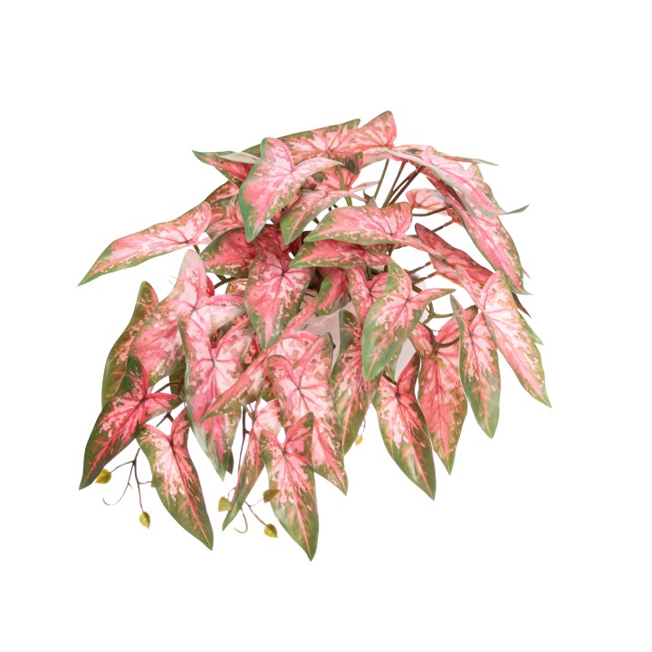 30CM REAL TOUCH SYNGONIUM BUSH IN POT PINK