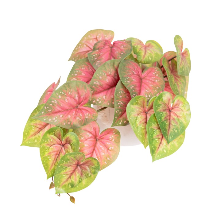 46CM REAL TOUCH CALADIUM BUSH IN POT RED