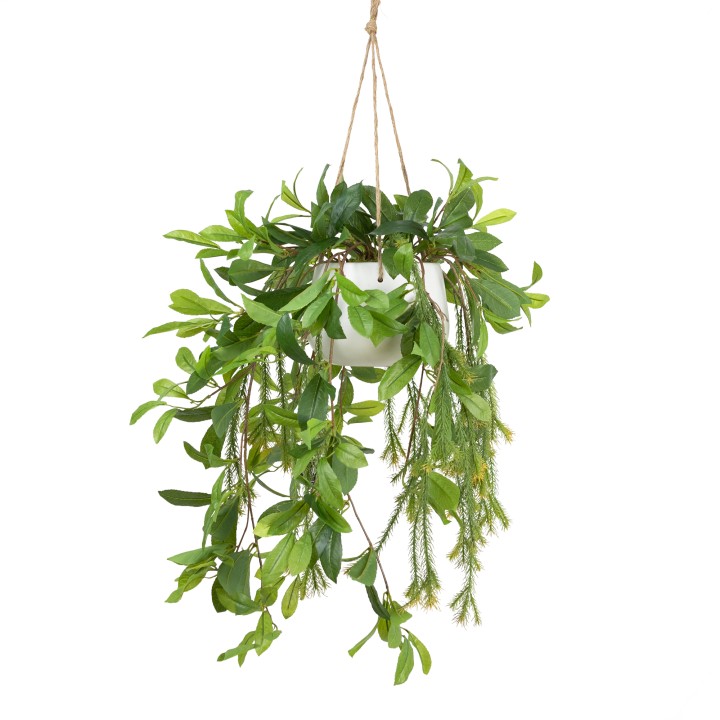 103CM LAUREL IN HANGING PLANTER