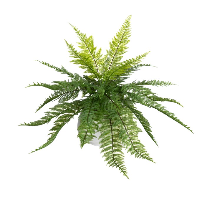 48CM LEATHERN FERN IN RIPPLE BOWL