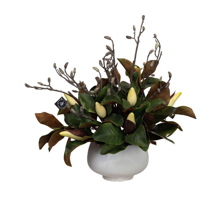 60CM MAGNOLIA FOLIAGE MIXED IN POT