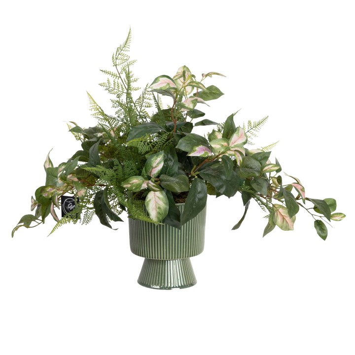 50CM MIXED GREENERY IN POT