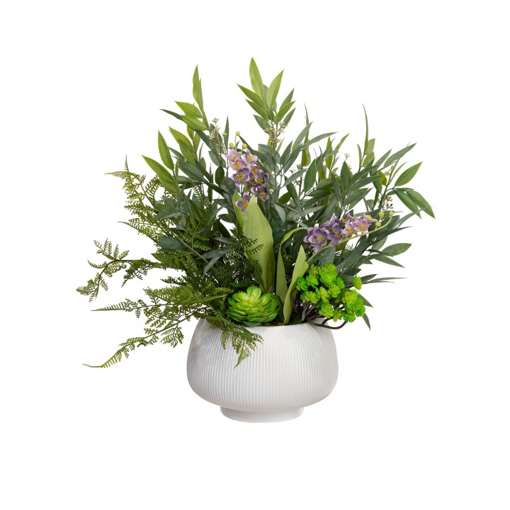 52CM RUSCUS & FERN MIXED IN POT
