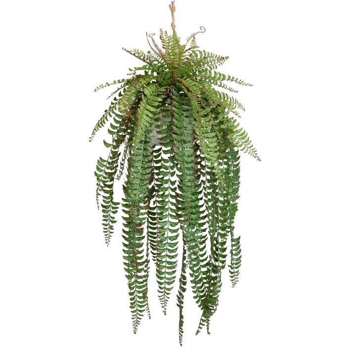 134CM FISHTAIL FERN IN HANGING PLANTER