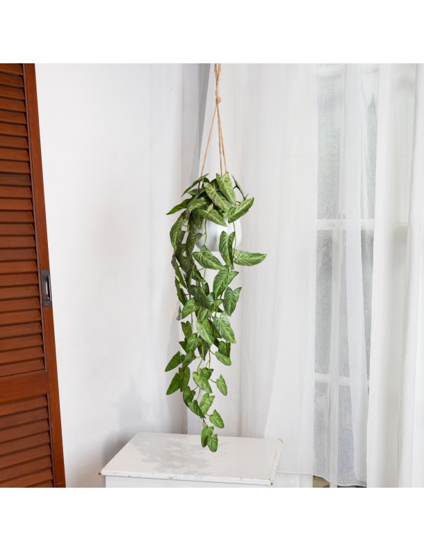 105CM DRAGON'S TAIL IN HANGING PLANTER