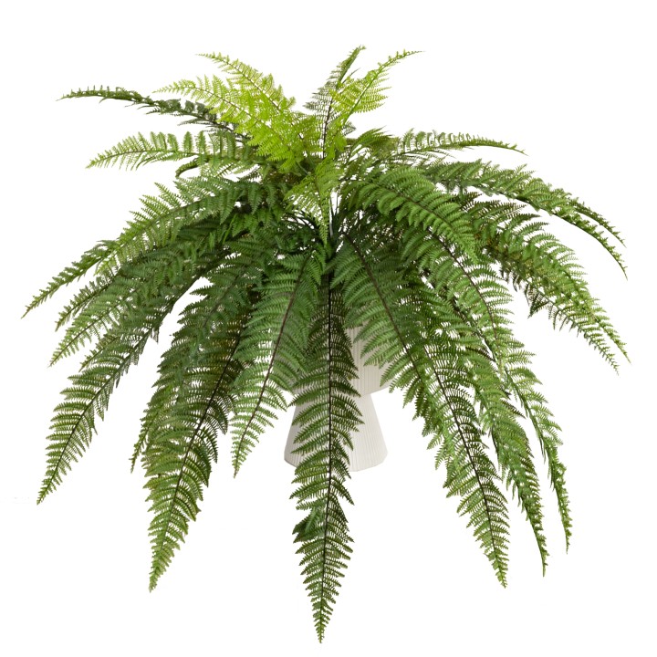 70CM LEATHER FERN IN RIPPLE POT