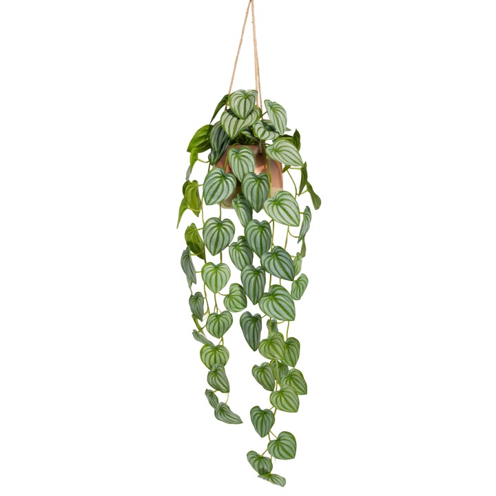 105CM WATERMELON BUSH IN HANGING PLANTER