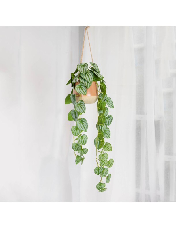 105CM WATERMELON BUSH IN HANGING PLANTER
