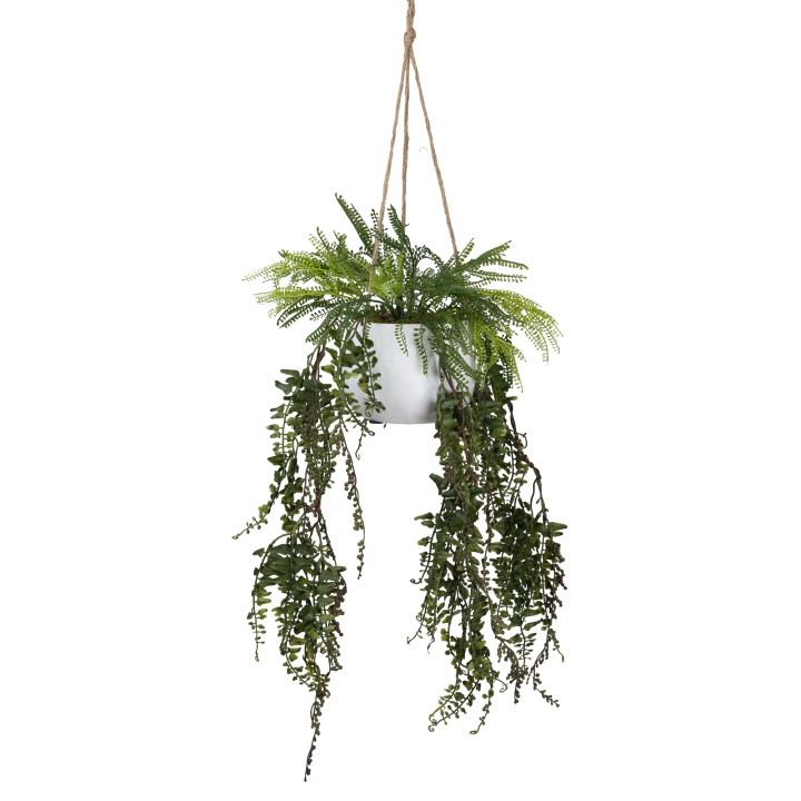 80CM MIXED FERN IN HANGING PLANTER