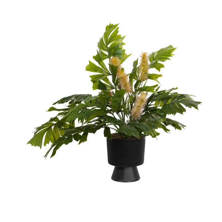 60CM REAL TOUCH FISH TAIL PALM IN POT