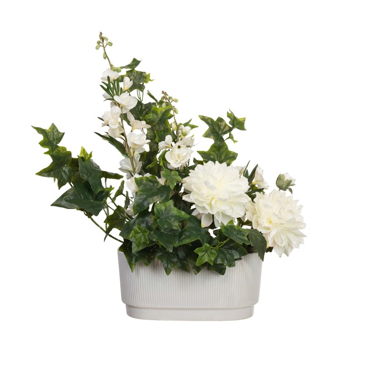 65CM IVY & DAHLIA MIXED IN POT