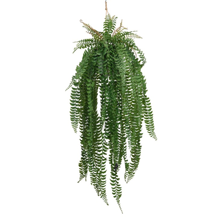 159CM FISH TAIL FERN IN HANGING PLANTER
