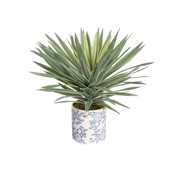 39CM REAL TOUCH AGAVE IN HAMPTON VASE