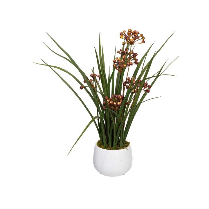 56CM BERRY IN POT
