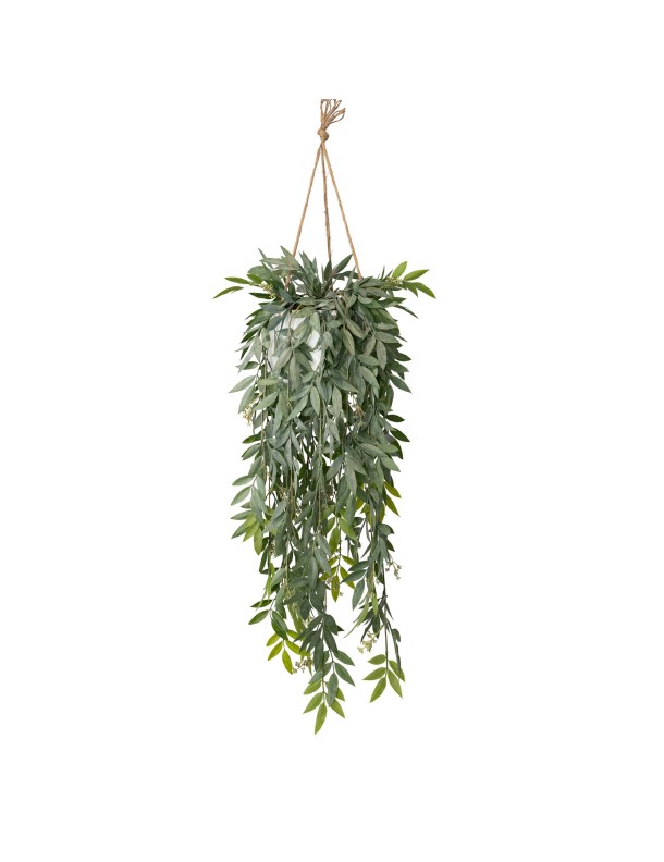 114CM RUSCUS BUSH IN HANGING PLANTER